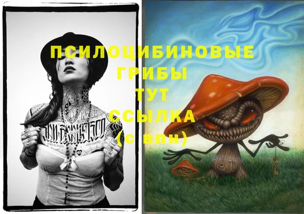 MDMA Нязепетровск