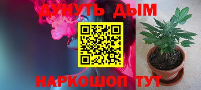 гашик Волжский