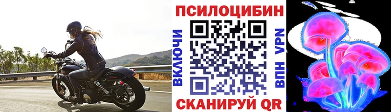 как найти наркотики  Зеленокумск  Псилоцибиновые грибы прущие грибы 