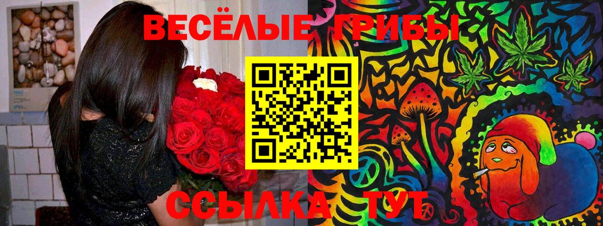 Галлюциногенные грибы Psilocybine cubensis Зеленокумск